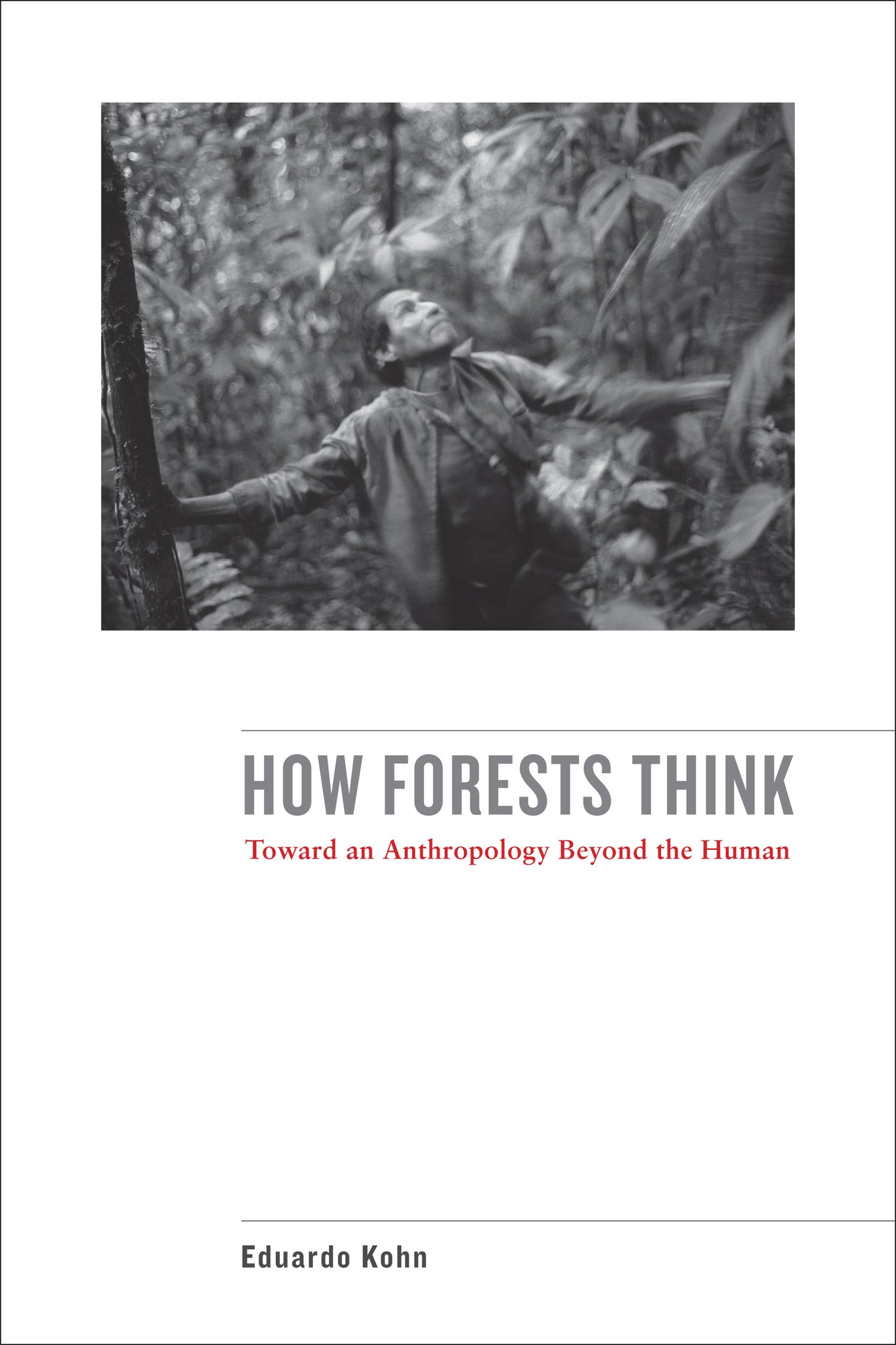 Cover image for How Forests Think ISBN 9780520276109